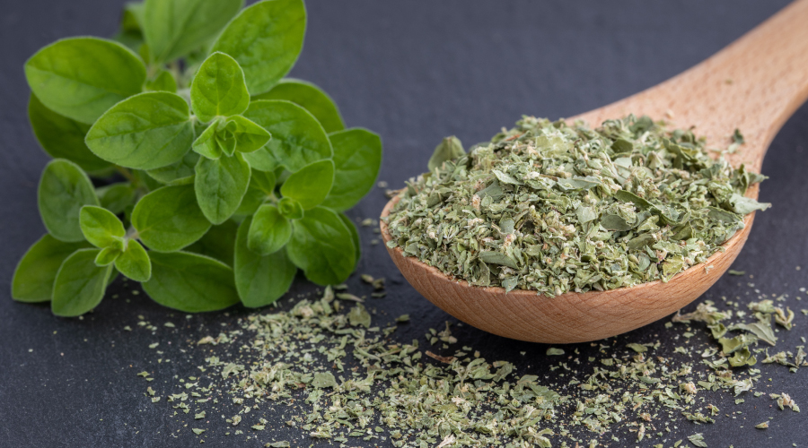 Marjoram How Does It Benefit Your Hair Health? HK Vitals